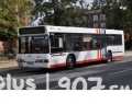Przywrócone trasy autobusów na Idalinie