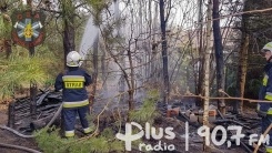 Pożar lasu w Groszowicach