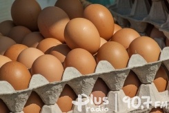 Wszystko o jajkach, czyli dobre rady dla kupujących