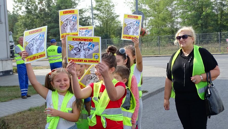 Zebry bez wypadk&oacute;w