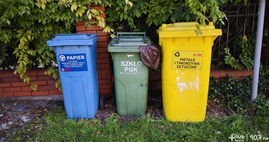 Jak opocznianie segregują odpady?