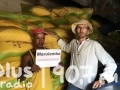 Kolejne tony ryżu polecą na Madagaskar!