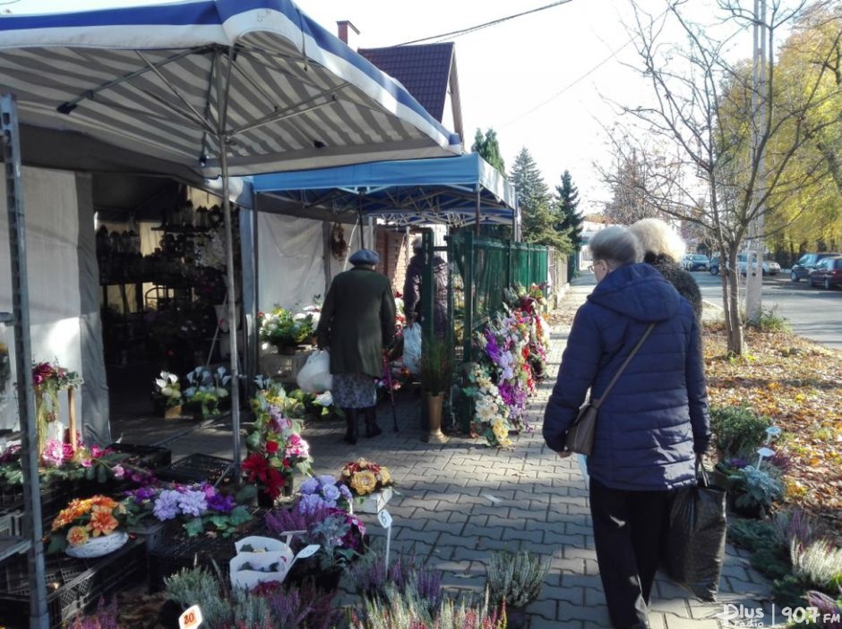 Zbliża się Uroczystość Wszystkich Świętych. Kupujemy kwiaty i znicze