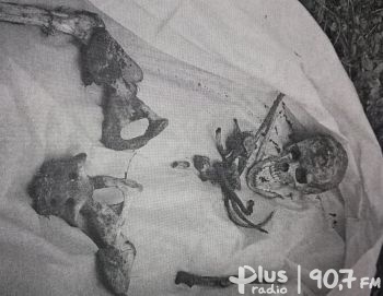 Policja znalazła szczątki ludzkie sprzed lat