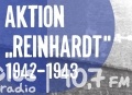Akcja „Reinhardt” w Kozienicach