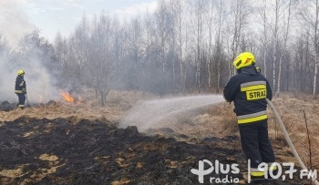 Płonęło prawie trzy hektary lasów i nieużytków rolnych