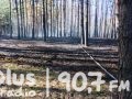 Spłonęło 2,5 hektara lasu...