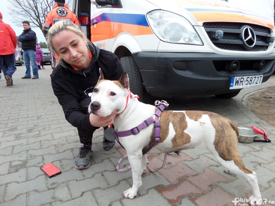 Niezwykła biegaczka w Biegu &quot;Tropem Wilczym&quot;