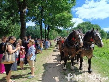 Miłośnicy koni tłumnie zjawili się w Muzeum Wsi Radomskiej