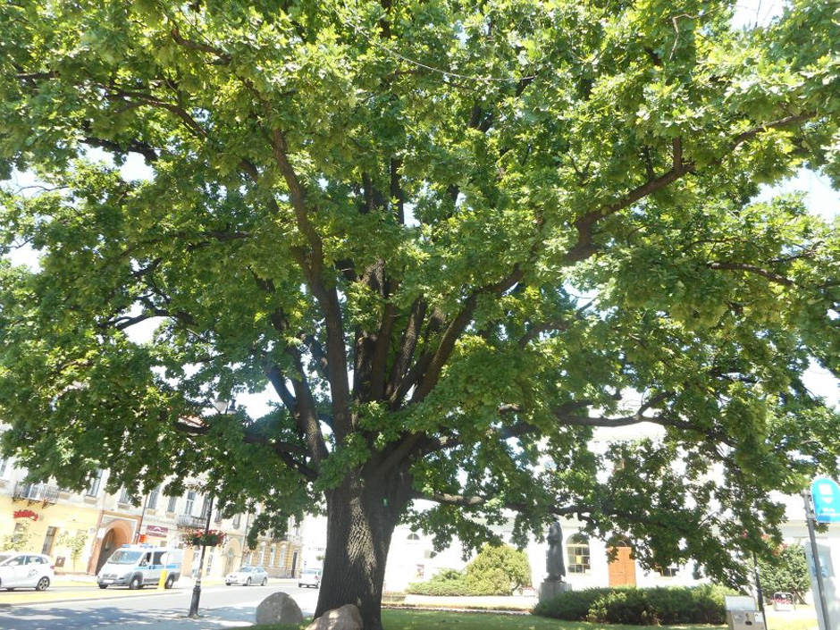 Poszukamy duszy miasta