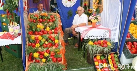 Miliony dla Przytyka!